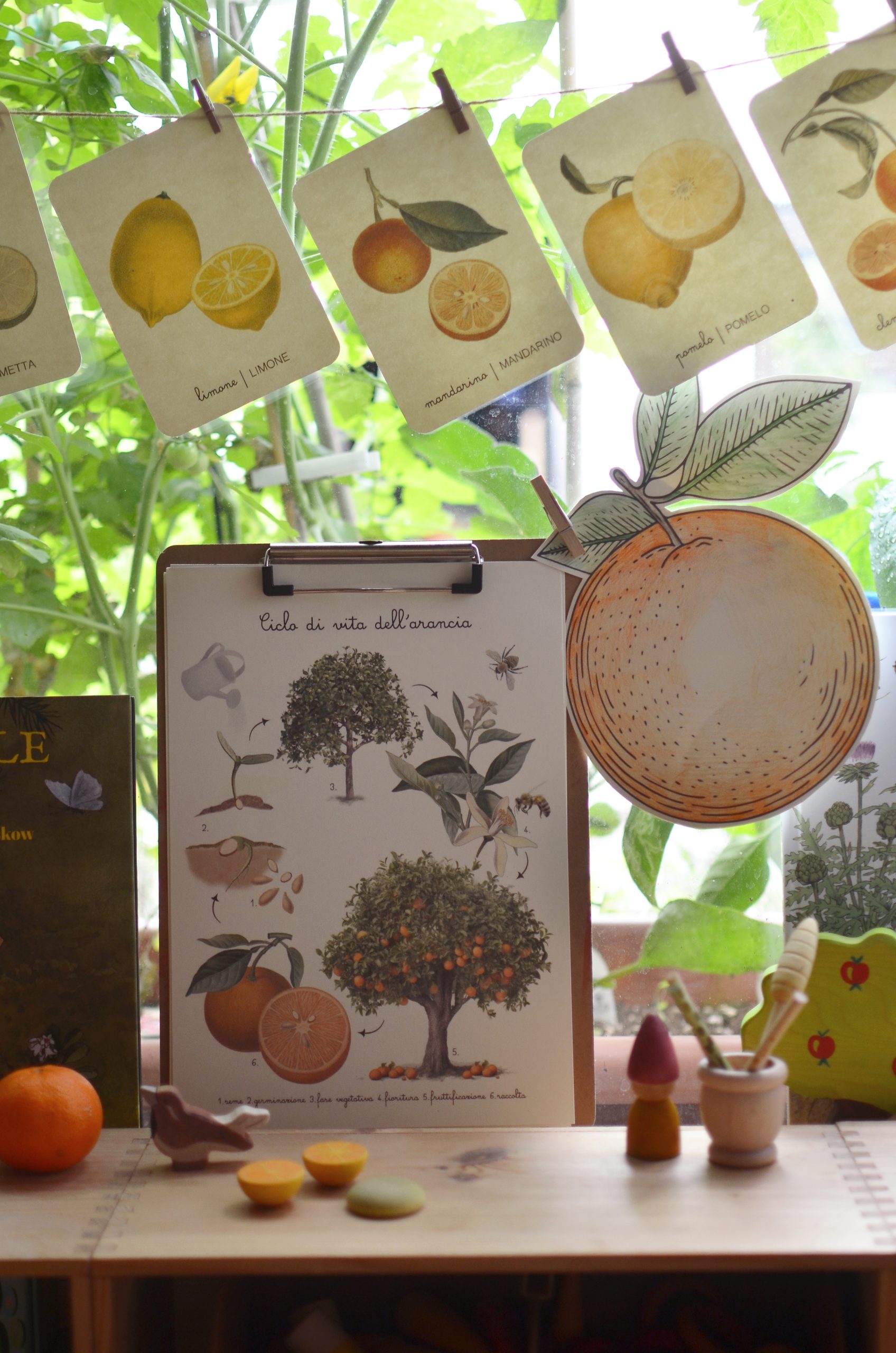 PlayKitBaboo L'uovo di Sole kit creativo luglio con libro