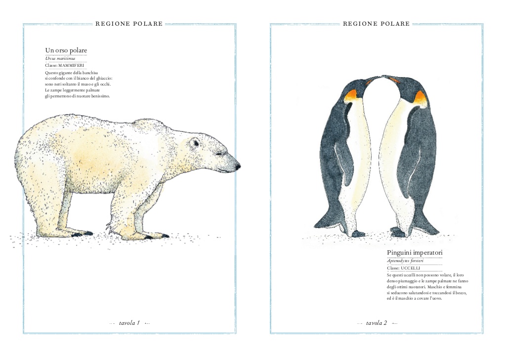 L'Ippocampo Inventario illustrato degli animali libro bambini