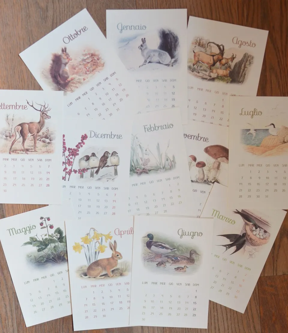 Baboo calendario 12 mesi 2025 PDF A4 da stampare 3 anni+