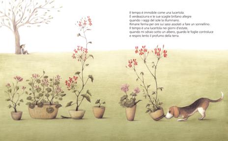 Lapis La forma del tempo libro bambini 3-6 anni