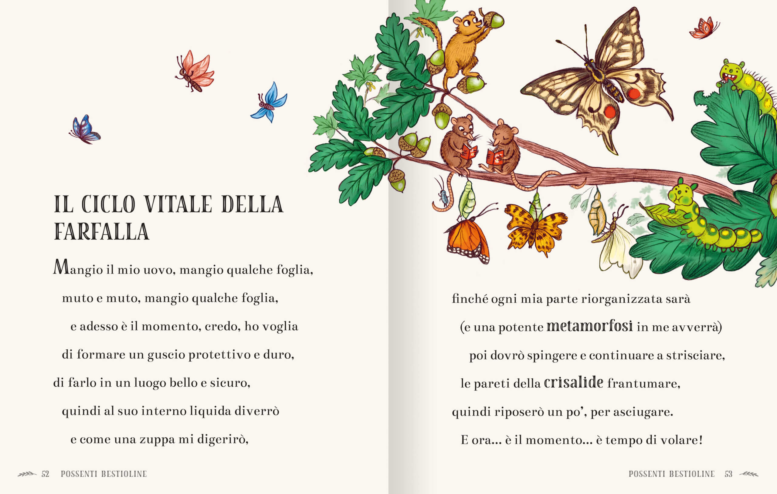 Emme Edizioni La Magia del Bosco libro bambini natura