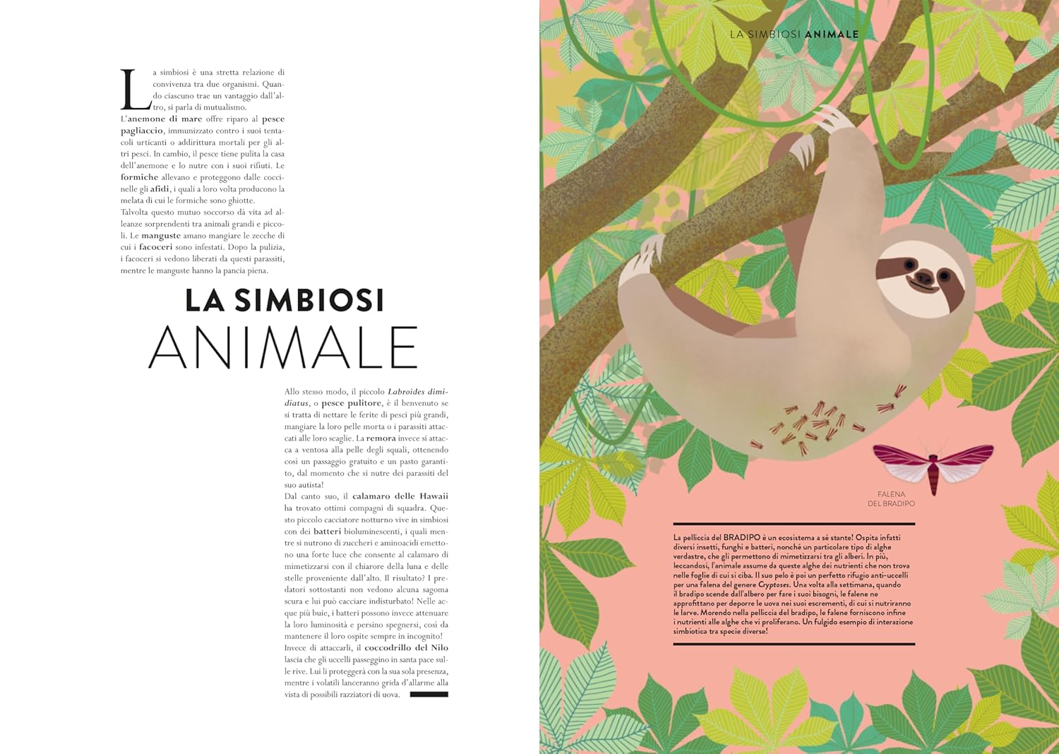 Ippocampo mondo animale libro animato 48 pagine