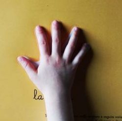 L'Ippocampo Tocco Osservo Dipingo Libro Montessori Mani