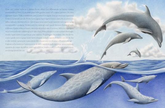 Logos Gaia Il Delfino libro bambini 56 pagine dai 6 anni