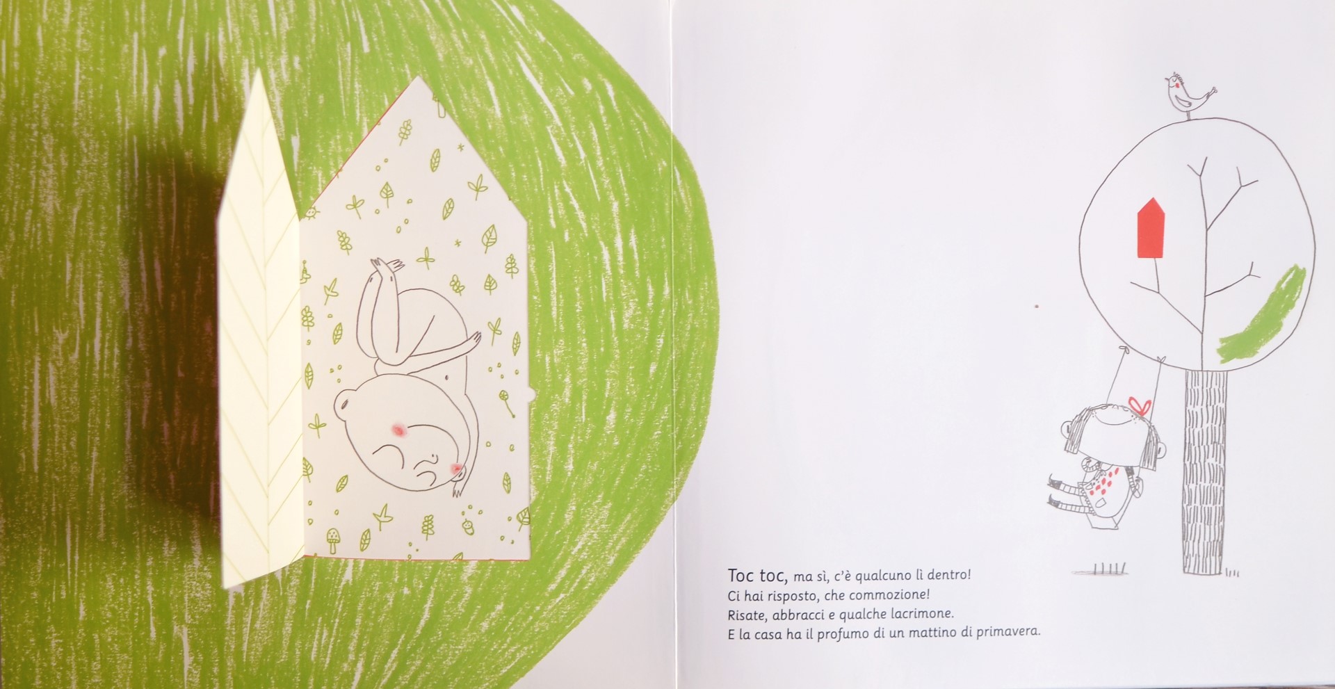 Gallucci Il pancione della mamma libro bambini 4 anni