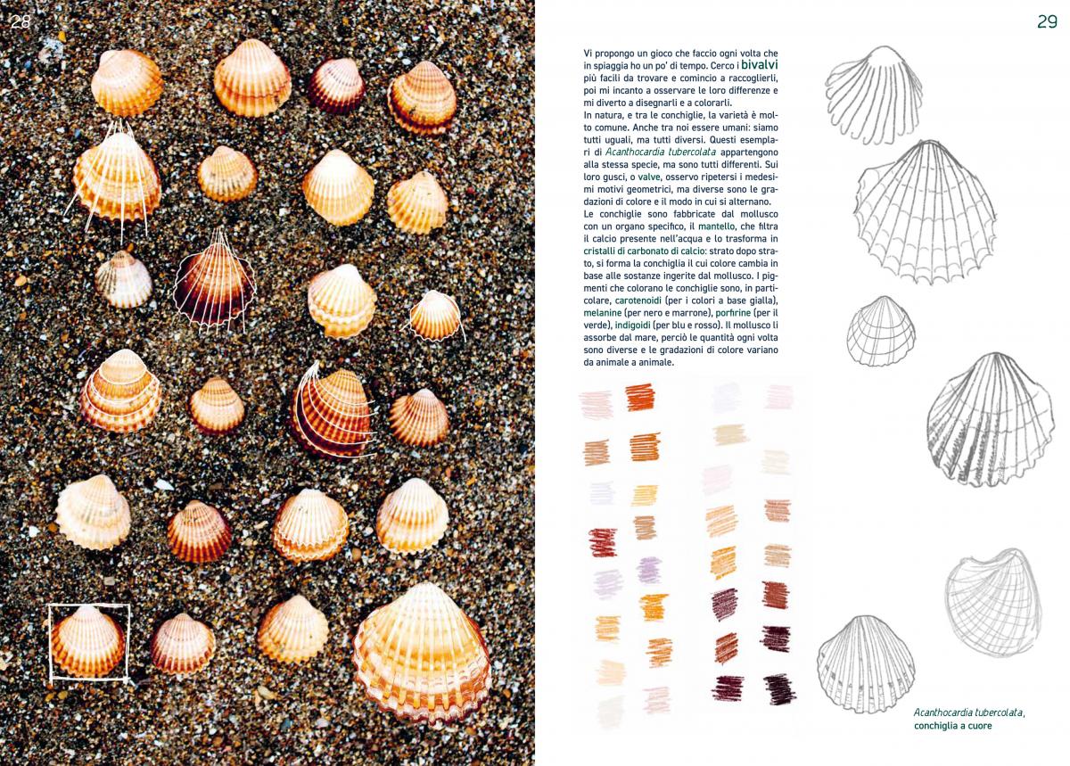 Topipittori PiNO In riva al mare libro bambini 32 pp