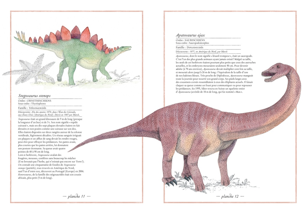 L'Ippocampo Inventario illustrato dei dinosauri libro cartonato