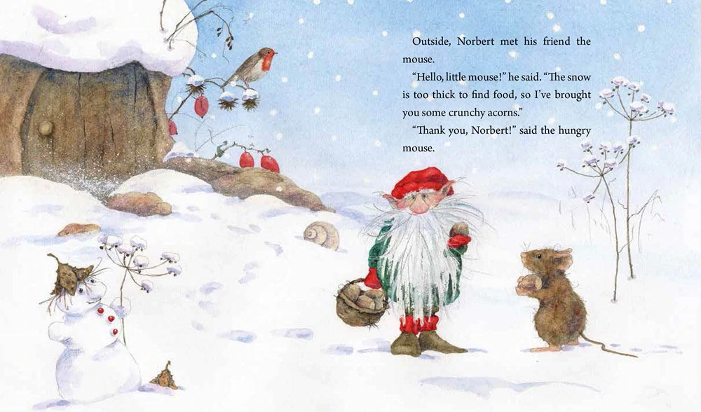Daniela Drescher Norbert the Winter Gnome libro cartonato 3-6 anni inverno