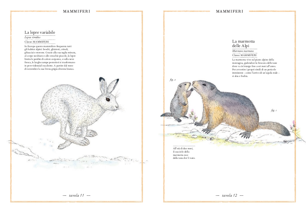 L’Ippocampo Inventario Illustrato della Montagna libro 6-9 anni