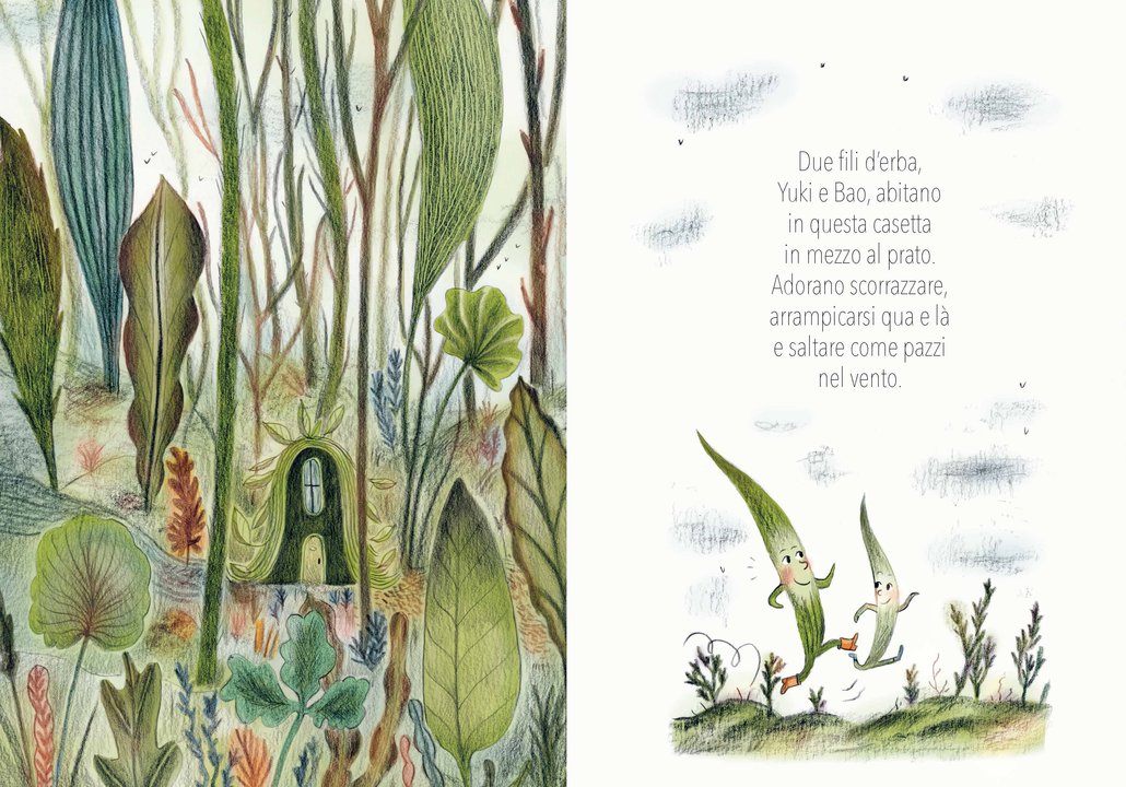 Fili d’erba Clotilde Perrin albo illustrato 72 pagine