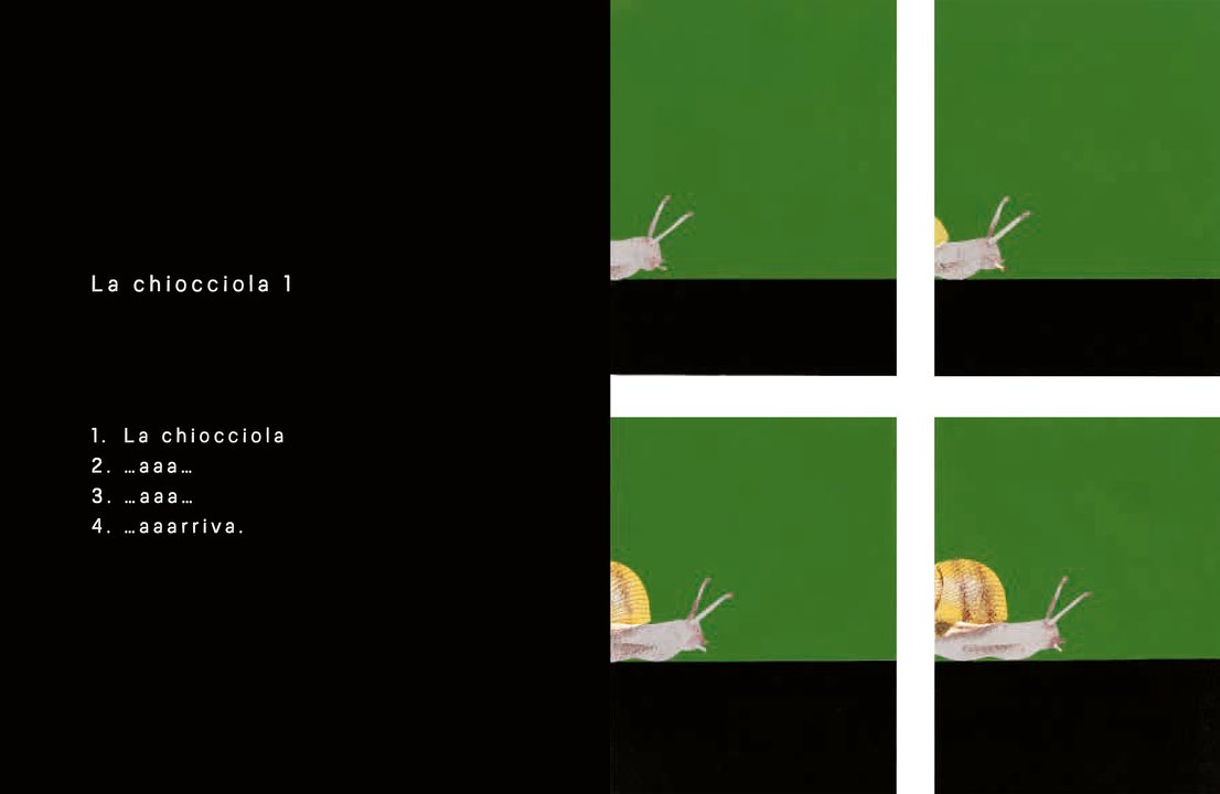 L'Ippocampo In 4 Tempi libro bambini cartonato