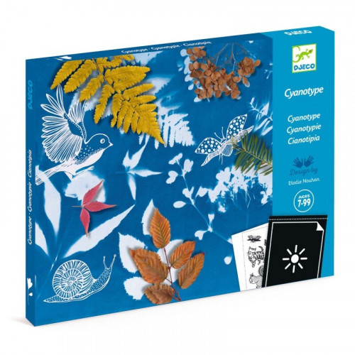 Djeco Cianotipia Starter kit artistico sole 8 fogli