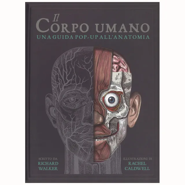 IdeeAli Corpo Umano guida pop-up anatomia bambini 5+ anni