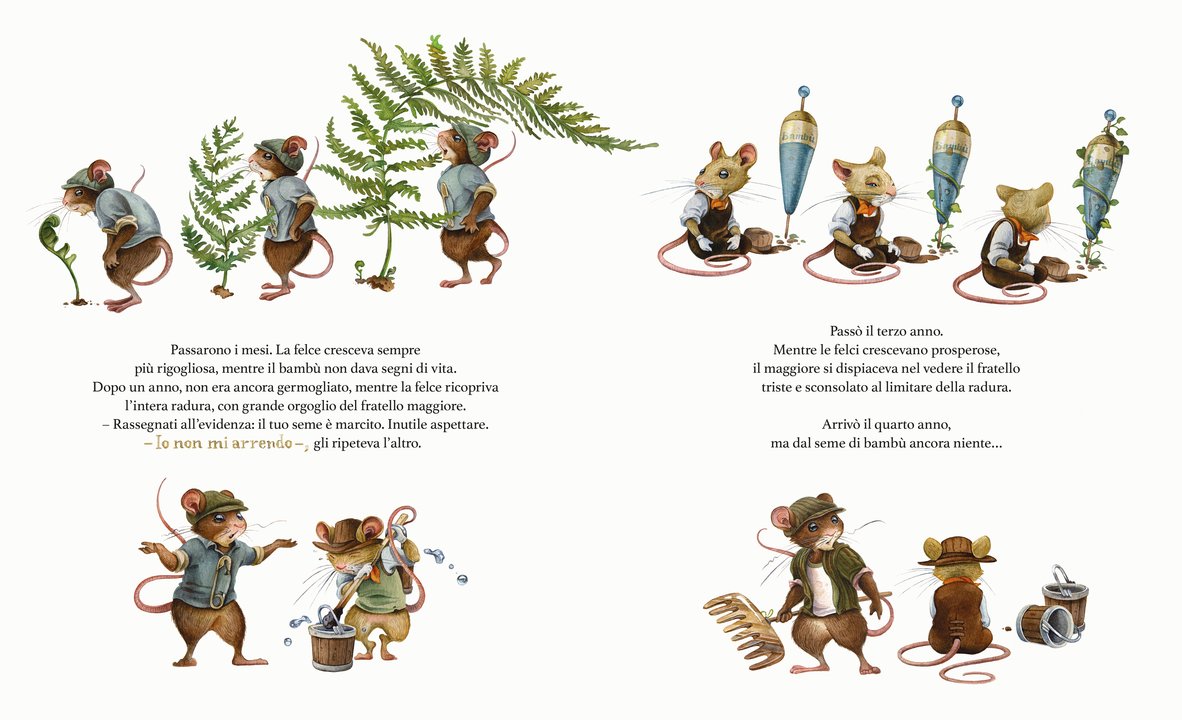 L'Ippocampo La felce e il bambù libro 3-6 anni