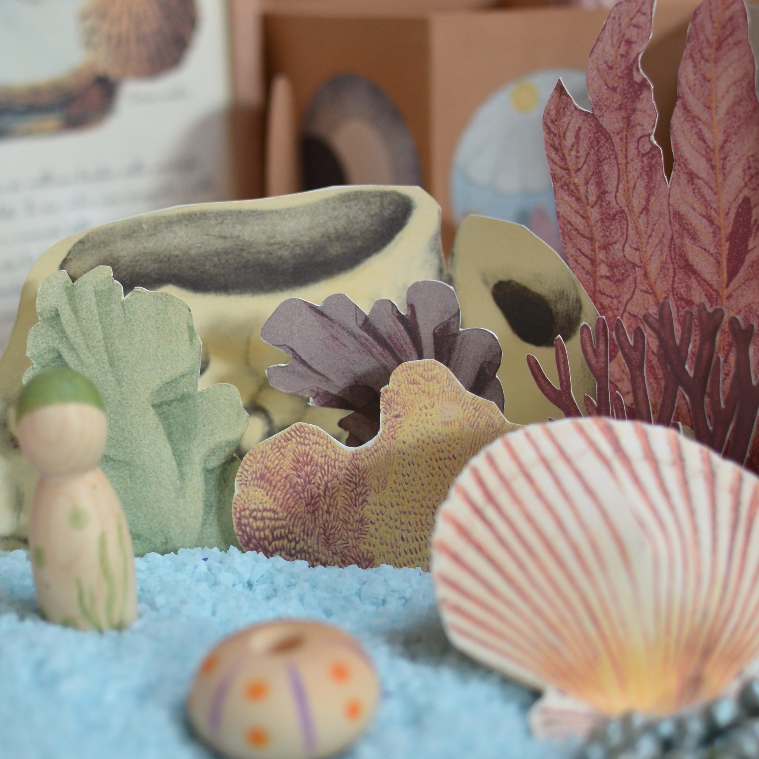 PlayKitBaboo Alisea e il Dono Segreto Kit Creativo Libro + Gioco