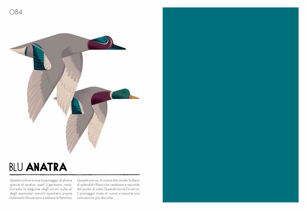 L'Ippocampo Colorama campionario cromatico libro colori 280 pagine
