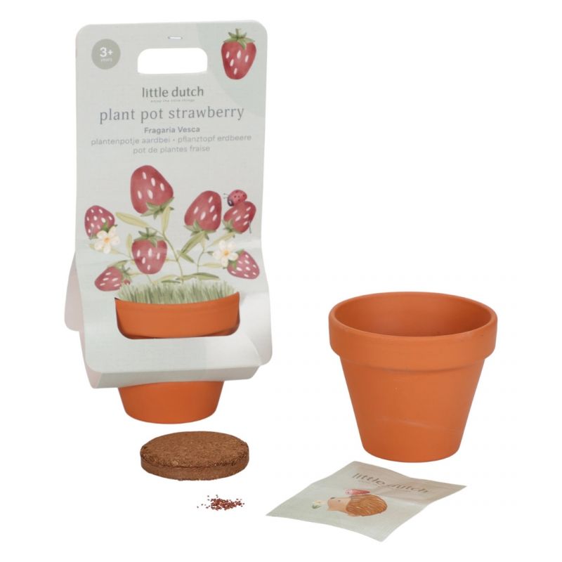 Little Dutch Vasetto Fragole kit coltivazione terracotta