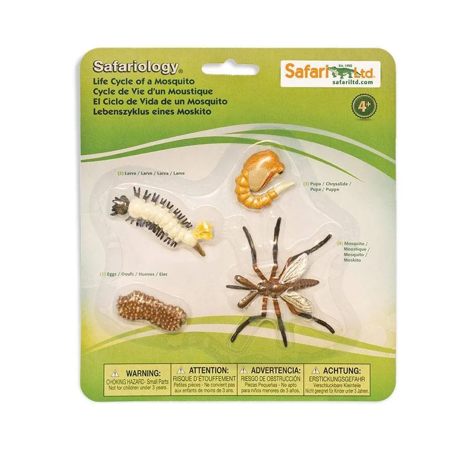 Safari Ltd Zanzara ciclo vita set 4 figure educative