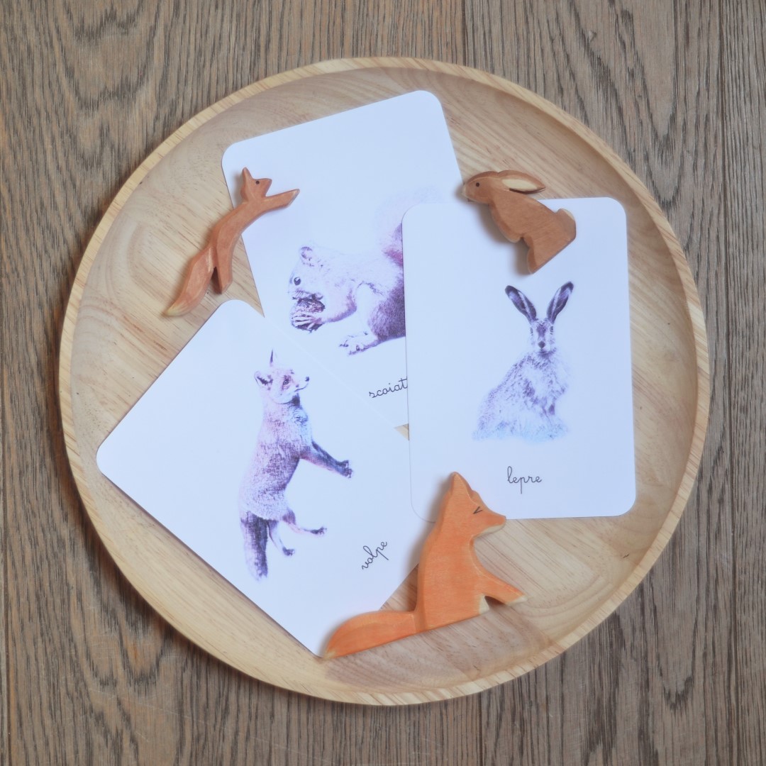 Baboo Animali del bosco carte nomenclature PDF 12 carte corsivo