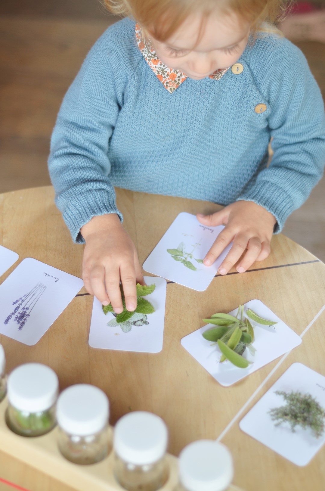 Baboo Erbe aromatiche carte nomenclature montessori pdf