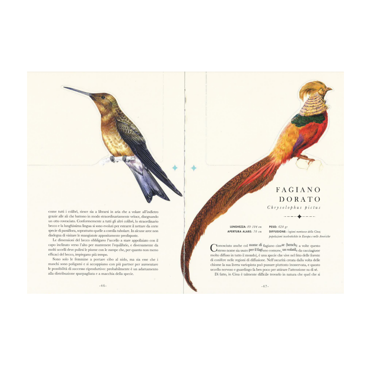 Il Castello Gli uccelli libro illustrato 110 pagine natura