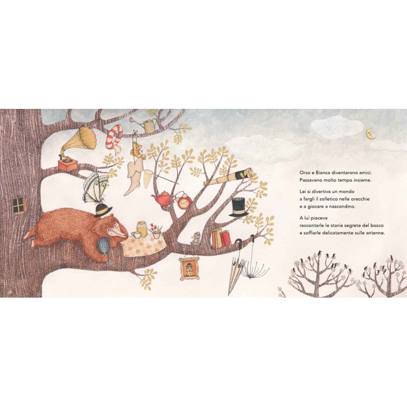 Orso acchiappafarfalle libro illustrato bontà e amicizia