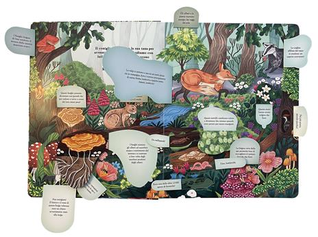 Emme Edizioni Chi si nasconde nella foresta? libro con alette rigido