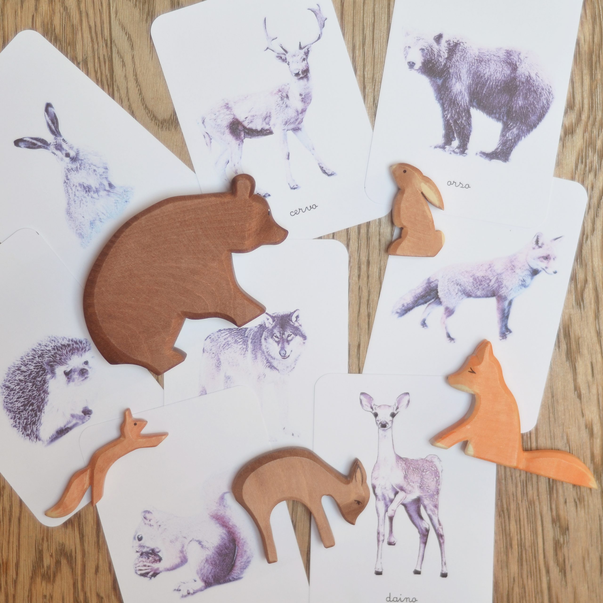 Baboo Carte nomenclature animali Montessori bosco fattoria savana