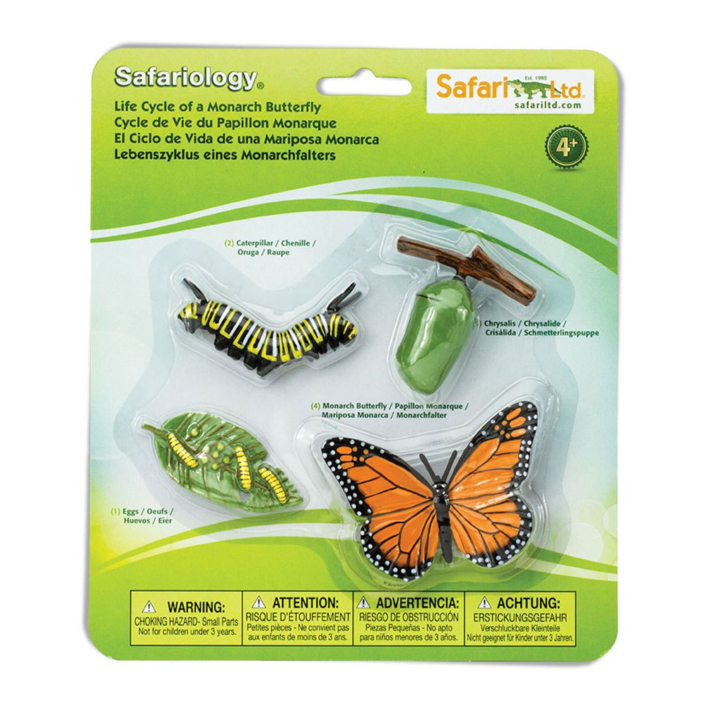 Safari Ltd ciclo vita farfalla monarca 4 figure resina