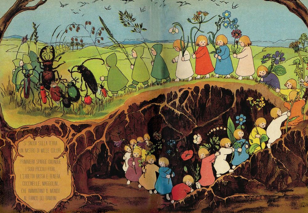 Pulce Edizioni bambini radice libro bambini 3 anni rigida