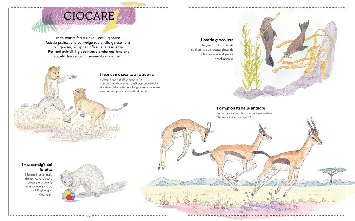 L’Ippocampo Vivere libro animali 104 pagine dai 6 anni