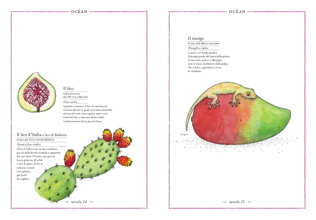 L'Ippocampo Inventario Illustrato Frutti e Ortaggi libro cartonato 6-9 anni