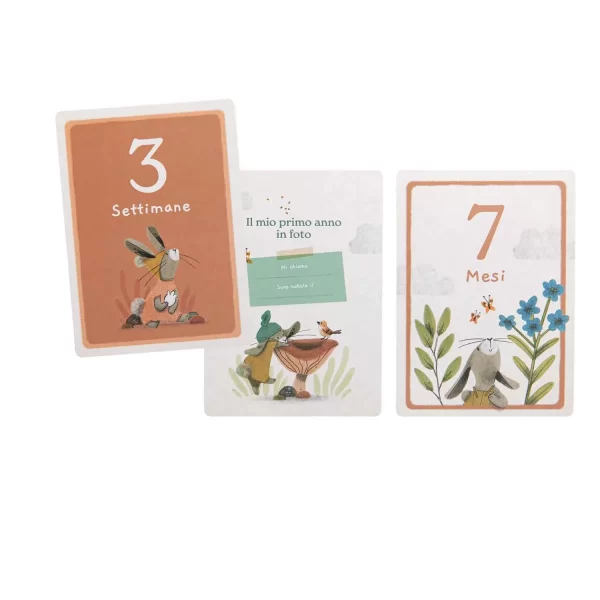 Moulin Roty Trois Petits Lapins carte primi 12 mesi 30 pz