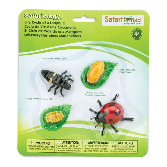Safari Ltd Ciclo Vita Coccinella set 4 figure resina