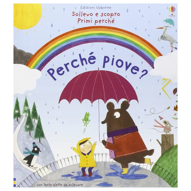 Usborne Perché piove? libro con alette bambini