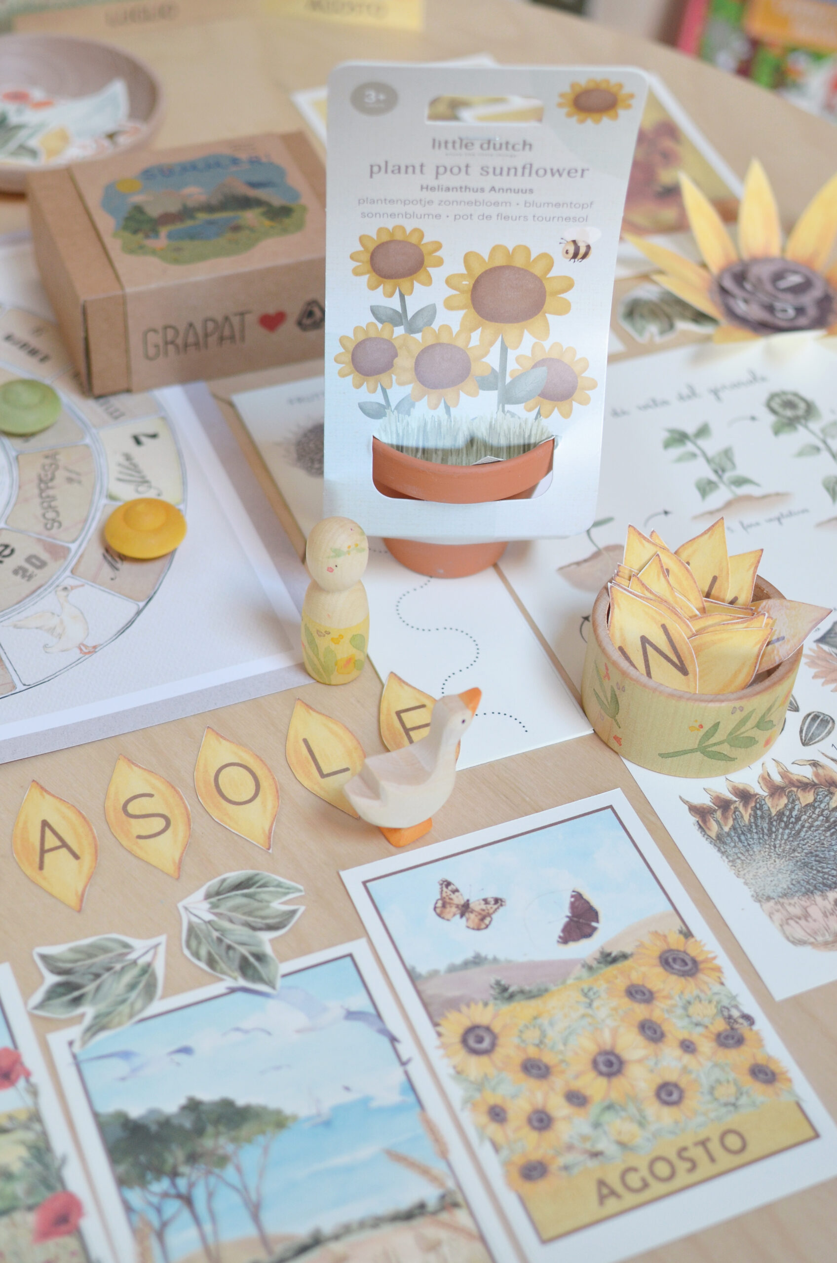 PlayKitBaboo Estate kit giochi libro semina girasole