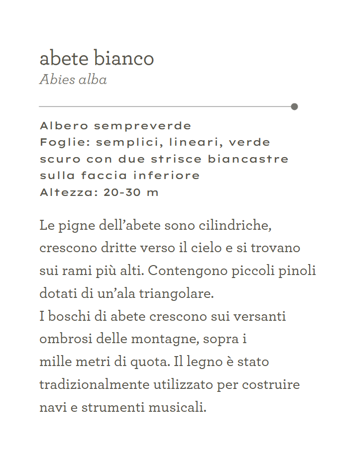 Terre di Mezzo Il Mondo in Tasca Alberi guida 44 pagine