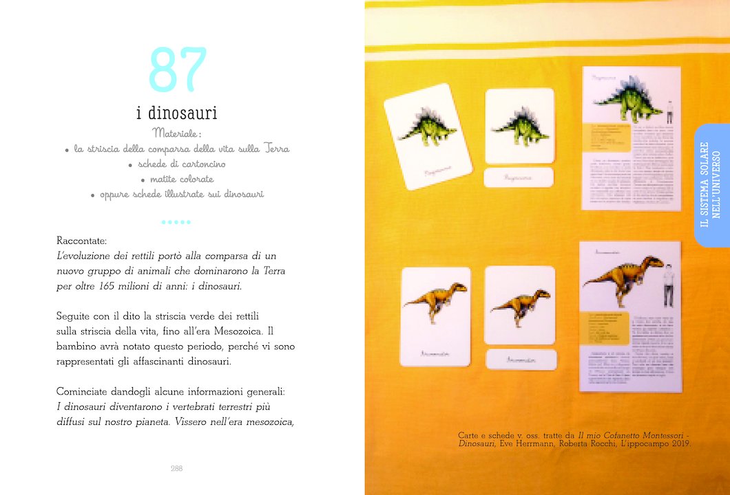 L’Ippocampo Guida Attività Montessori 6-12 Anni Libro 496 Pagine