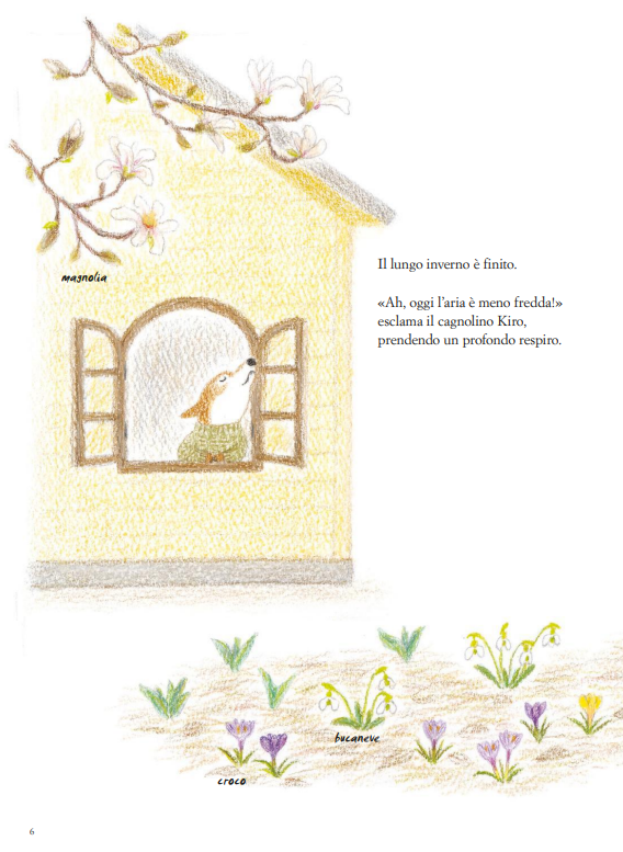 Fabbri Fiori che sbocciano e raggi di sole libro 48 pagine 3-6 anni