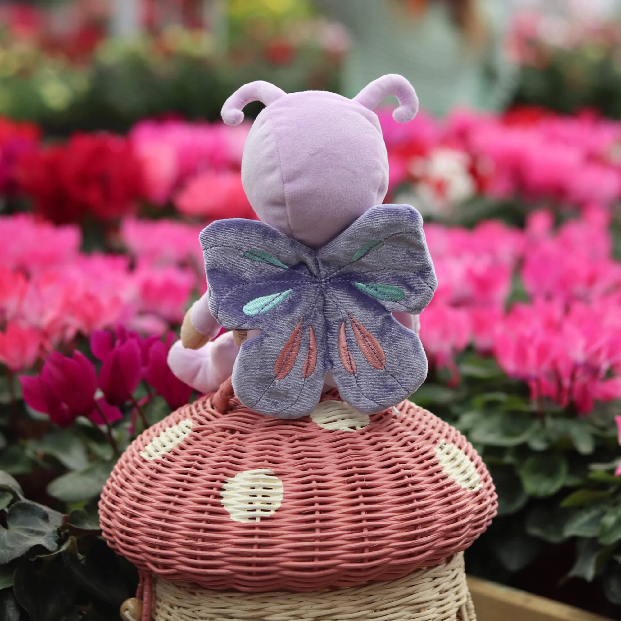 Olliella Dinky Dinkums Betty Butterfly bambola morbida 22 cm