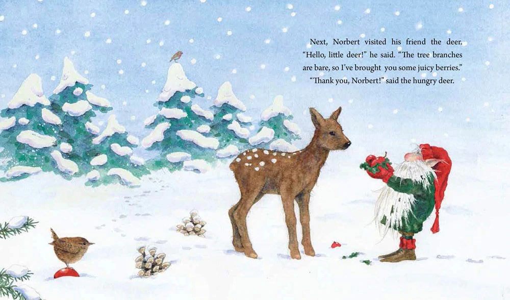 Daniela Drescher Norbert the Winter Gnome libro cartonato 3-6 anni inverno