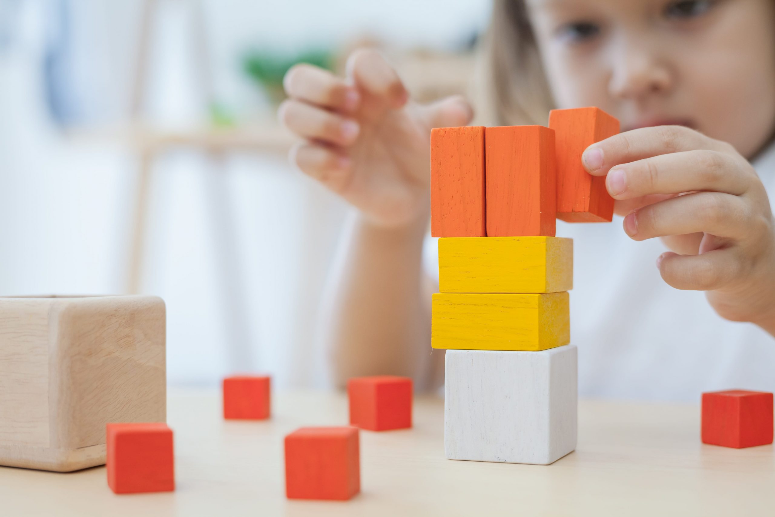 Plan Toys Fraction Cubes gioco frazioni legno