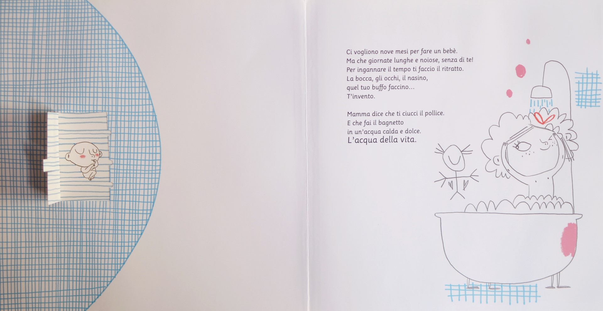 Gallucci Il pancione della mamma libro bambini 4 anni