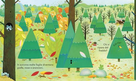 Usborne Libri cucù La foresta libro cartonato 3 anni