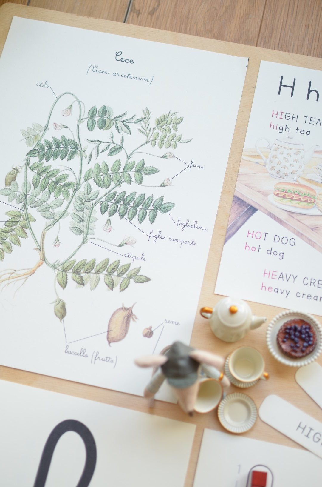 Baboo Abecedario lettera H schede pdf hummus