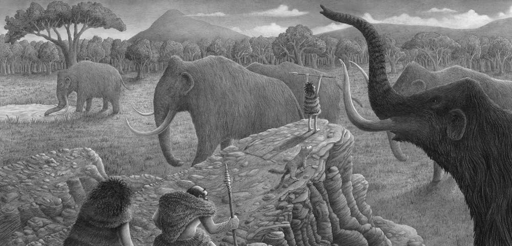 Terre di Mezzo La prima storia libro silent 64 pagine