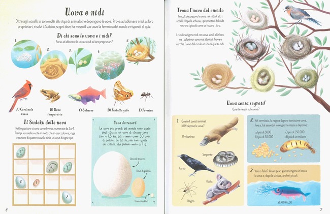 Usborne La Natura Giochi e Passatempi Libro 80 Pagine 4+