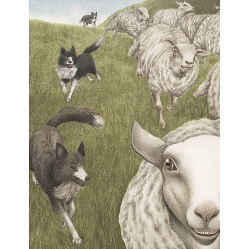 Logos La Pecora libro illustrato bambini natura