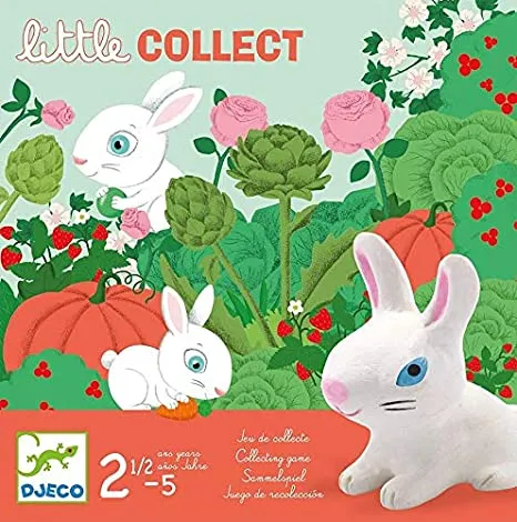 Djeco Little Collect gioco da tavolo bambini 2-4 giocatori