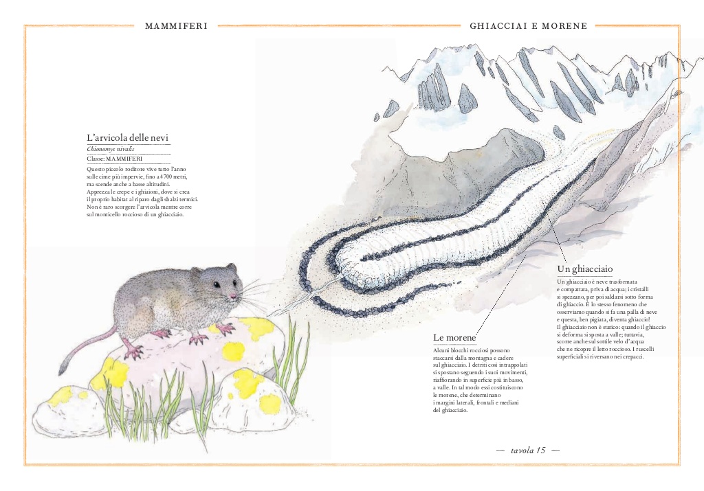 L’Ippocampo Inventario Illustrato della Montagna libro 6-9 anni